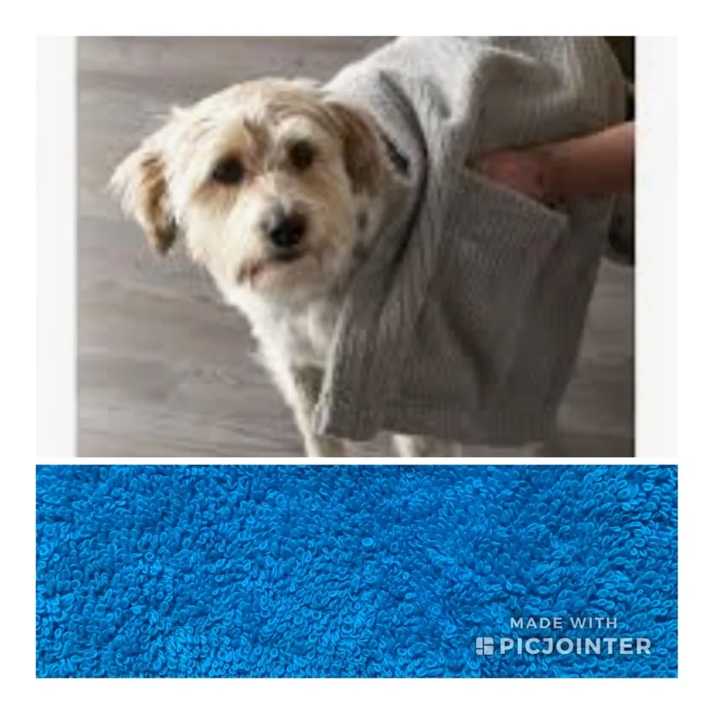 The Company Store dog towel